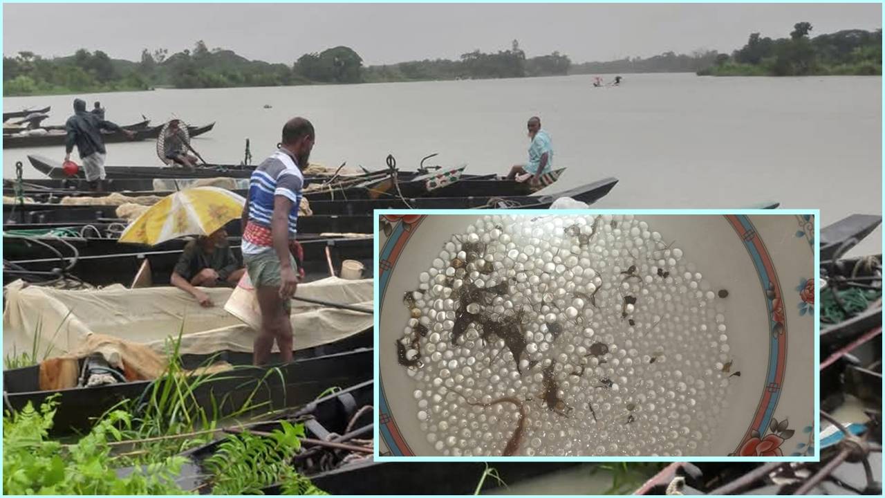 ভারী বৃষ্টি আর