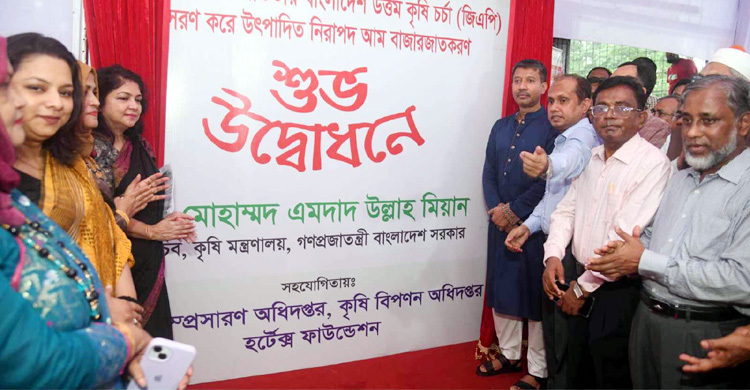 আম রপ্তানি