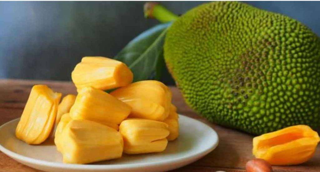 গরমকালে কেন কাঁঠাল খাবেন? গরমকালে বাজারে বাহারি ফলের ভিড়ে সবচেয়ে আকর্ষণীয় ও জনপ্রিয় ফলের নাম কাঁঠাল। জাতীয় ফল হিসেবে কাঁঠালের পরিচিতি থাকলেও অনেকেই জানেন না, শুধু স্বাদের জন্য নয়, কাঁঠাল খাওয়া স্বাস্থ্যের জন্যও দারুণ উপকারী। গরমকালে শরীর সুস্থ ও চাঙা রাখতে যে কটি ফল বিশেষভাবে উপকারী, তার মধ্যে কাঁঠাল অন্যতম। হজমে সহায়তা থেকে শুরু করে পানিশূন্যতা প্রতিরোধ, রোগ প্রতিরোধক্ষমতা বাড়ানো, ওজন নিয়ন্ত্রণসহ নানা কারণেই কাঁঠাল দারুণ উপকারী। বিশেষ করে গরমের সময় এই ফল খেলে শরীর সুস্থ থাকে, বাড়ে রোগ প্রতিরোধ ক্ষমতা।  চলুন জেনে নেওয়া যাক কাঁঠালের ৮টি আশ্চর্য উপকারিতা— একনজরে দেখে নিন শক্তিশালী রোগ প্রতিরোধ ক্ষমতা গড়ে তোলে। শক্তি বাড়ায় ও ক্লান্তি দূর করে। হজমে সহায়ক। পানিশূন্যতা বা মাথাব্যথা প্রতিরোধ করে। ত্বকের উজ্জ্বলতা বাড়ায়। হাড় মজবুত করে। রক্তচাপ নিয়ন্ত্রণে সহায়তা করে। ওজন নিয়ন্ত্রণে সহায়ক। শক্তিশালী রোগ প্রতিরোধ ক্ষমতা গড়ে তোলে: কাঁঠালে রয়েছে প্রচুর পরিমাণ ভিটামিন ‘সি’ এবং অ্যান্টি-অক্সিডেন্ট, যা দেহের রোগ প্রতিরোধ ক্ষমতা বাড়ায়। গরমের সময় সহজেই সর্দি-জ্বর বা সংক্রমণ হতে পারে। নিয়মিত কাঁঠাল খেলে এই ঝুঁকি কমে যায়। এ ছাড়া এতে থাকা অ্যান্টি-অক্সিডেন্ট প্রদাহ কমাতে সাহায্য করে, যা সুস্থ থাকতে গুরুত্বপূর্ণ ভূমিকা রাখে। শক্তি বাড়ায় ও ক্লান্তি দূর করে: গরমের দিনে অতিরিক্ত ঘাম এবং পানি শূন্যতার কারণে শরীর দুর্বল হয়ে পড়ে। কাঁঠাল প্রাকৃতিকভাবে গ্লুকোজ, ফ্রুক্টোজ এবং অন্যান্য শক্তিদায়ক উপাদানে ভরপুর। এটি দ্রুত শরীরে শক্তি জোগায় এবং ক্লান্তি দূর করে। হজমে সহায়ক: কাঁঠালে থাকা ফাইবার হজমপ্রক্রিয়াকে সক্রিয় রাখে এবং কোষ্ঠকাঠিন্যের সমস্যা দূর করে। গরমের দিনে অনেকেরই হজমের সমস্যা দেখা দেয়, কাঁঠাল তা সহজেই সমাধান করতে পারে। পানিশূন্যতা বা মাথাব্যথা প্রতিরোধ করে : কাঁঠালের পাকা কোষে জলীয় উপাদান থাকে প্রায় ৮৯ দশমিক ৮৫ শতাংশ, যা কাঁঠালের বিচির (প্রায় ৬০.০৭৫ শতাংশ) তুলনায় অনেক বেশি। গরমে ঘামে শরীর থেকে যে পানি বেরিয়ে যায়, তা পূরণে কাঁঠাল ভালো কাজ করে। কাঁঠালে ইলেকট্রোলাইটও থাকে, যা শরীরের পানির ভারসাম্য ঠিক রাখতে সাহায্য করে এবং পানিশূন্যতার কারণে ক্লান্তি বা মাথাব্যথা প্রতিরোধে সহায়ক। ত্বকের উজ্জ্বলতা বাড়ায়: এই ফলে থাকা ভিটামিন ‘এ’ ও অ্যান্টি-অক্সিডেন্ট ত্বককে ভিতর থেকে সুন্দর করে তোলে। নিয়মিত কাঁঠাল খেলে ত্বকের উজ্জ্বলতা বাড়ে এবং ব্রণ বা দাগ-ছোপ কমে। হাড় মজবুত করে: কাঁঠালে ক্যালসিয়াম, ম্যাগনেশিয়াম ও ফসফরাস রয়েছে, যা হাড়কে শক্তিশালী করে। বিশেষ করে যাদের বয়স বাড়ছে কিংবা হাড় দুর্বল, তাদের জন্য কাঁঠাল অত্যন্ত উপকারী। রক্তচাপ নিয়ন্ত্রণে সহায়তা করে: পটাশিয়াম সমৃদ্ধ কাঁঠাল উচ্চ রক্তচাপ নিয়ন্ত্রণে রাখতে সাহায্য করে। এতে করে হৃদরোগের ঝুঁকিও অনেকটাই কমে যায়। ওজন নিয়ন্ত্রণে সহায়ক : মিষ্টি স্বাদের হলেও কাঁঠালে ক্যালরি ও চর্বি খুবই কম থাকে। এতে থাকা আঁশ পেট ভরাট রাখে, ফলে ঘন ঘন খাওয়ার ইচ্ছা কমে যায় এবং অস্বাস্থ্যকর খাবার খাওয়া এড়াতে সহায়তা করে। এসব কারণে কাঁঠাল ওজন নিয়ন্ত্রণে সহায়ক একটি স্বাস্থ্যকর ফল।
