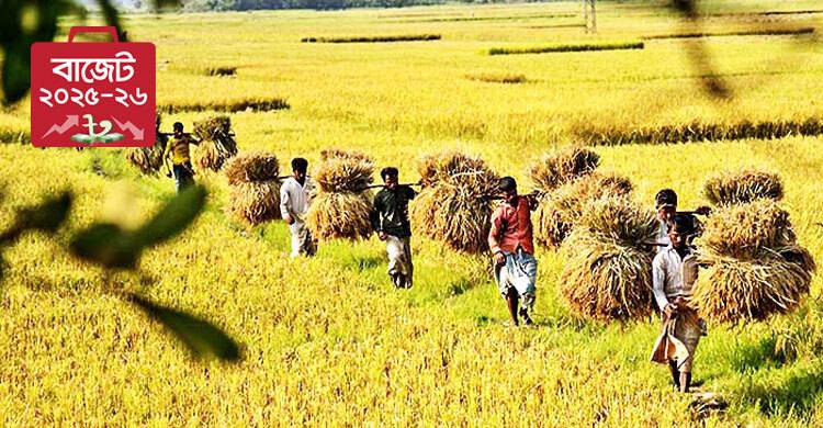 খাদ্য-কৃষিতে বরাদ্দ বাড়ছে