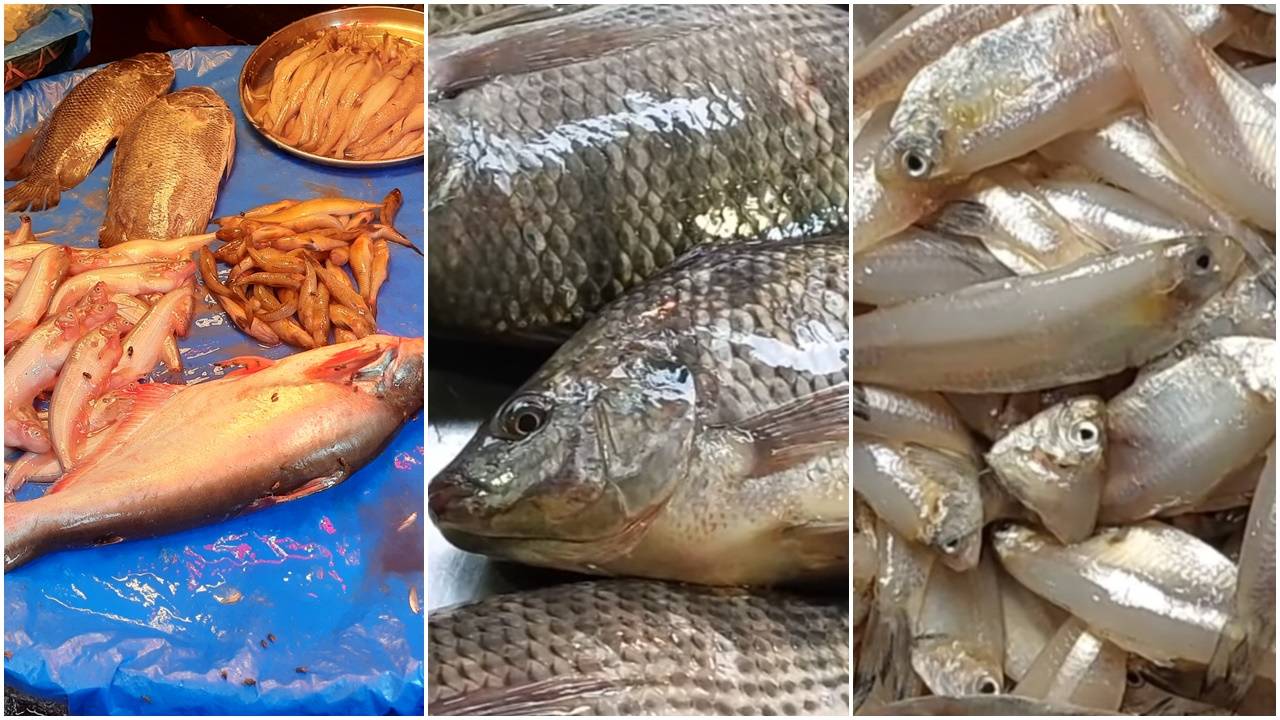 চড়া মাছের বাজার, সবজিতে স্বস্তি